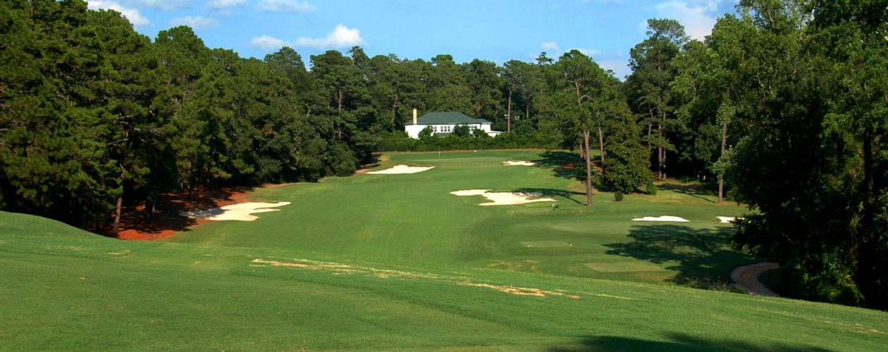 Palmetto Golf Club